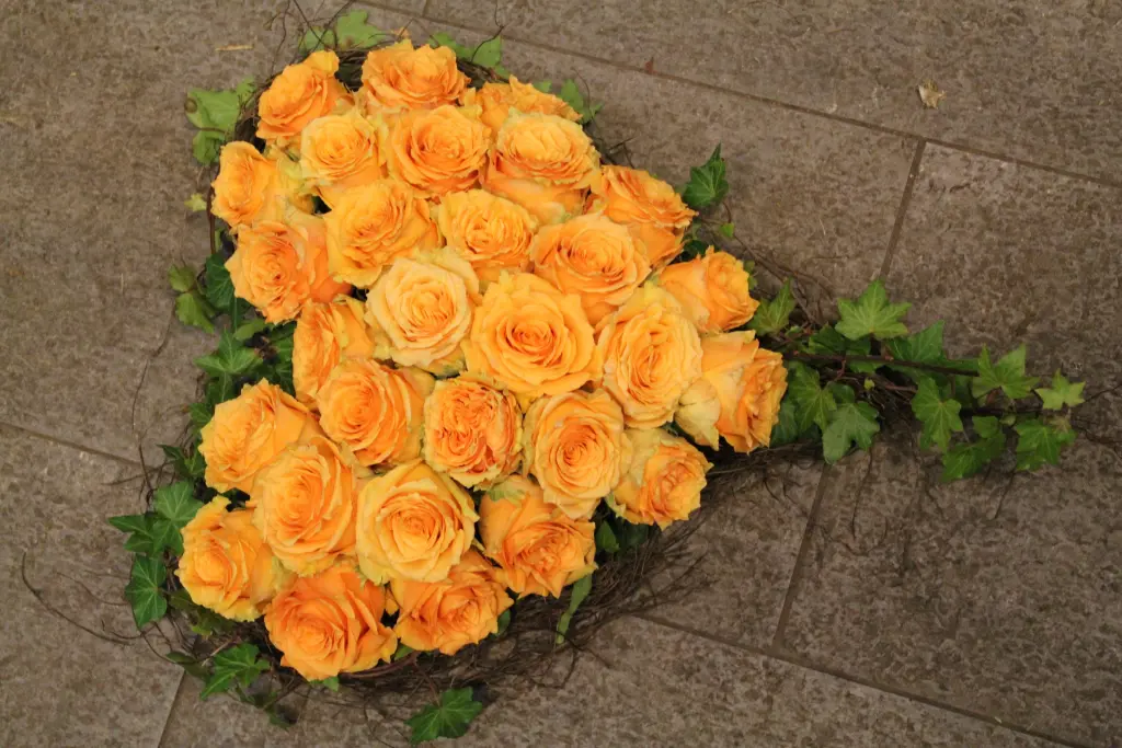 Condolence image of Brigitta