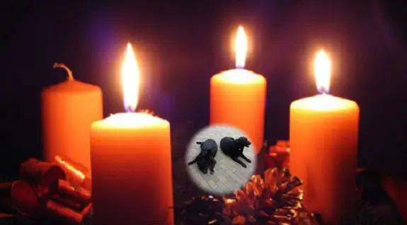 Condolence image of ❤️❤️❤️