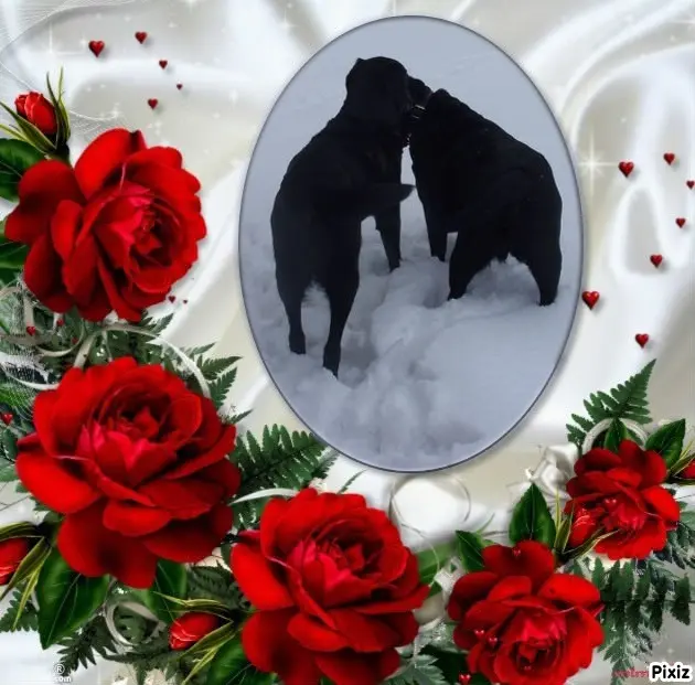 Condolence image of ❤️❤️❤️