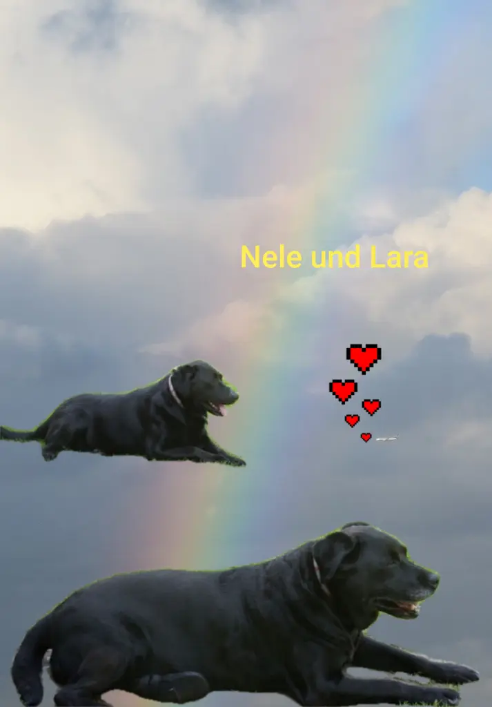 Condolence image of Ellen mit Lina ♥️