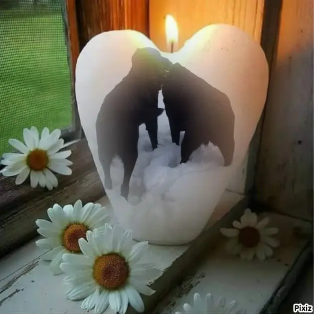 Condolence image of ❤️❤️❤️