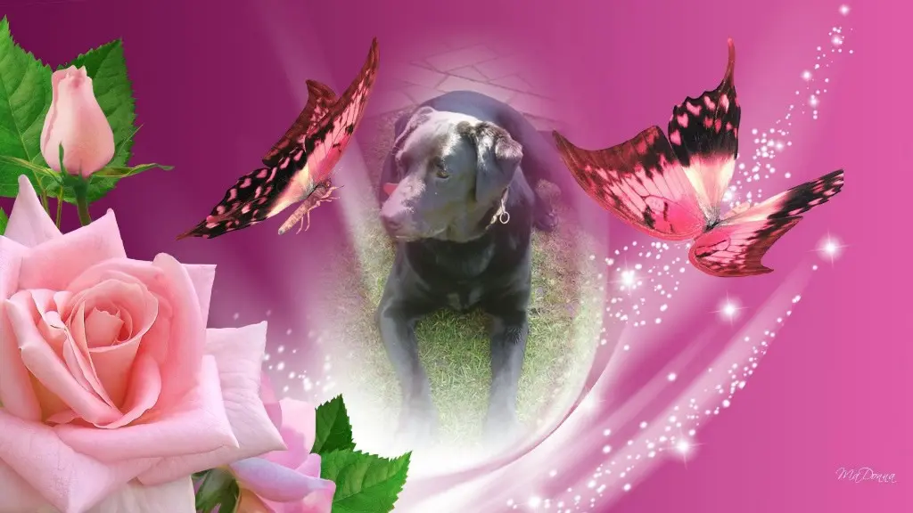 Condolence image of ❤️❤️❤️Larchen❤️❤️❤️