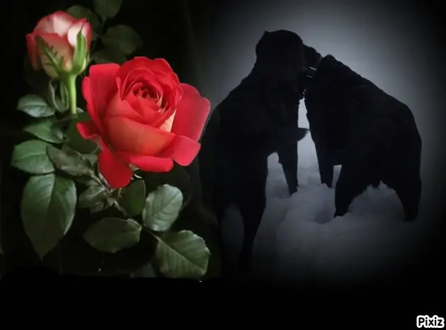 Condolence image of ❤️❤️❤️
