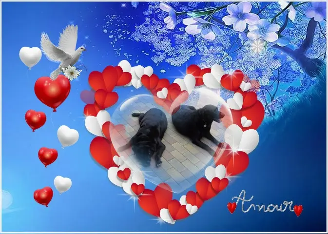 Condolence image of ❤️❤️❤️