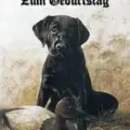 Condolence image of Unbekannt
