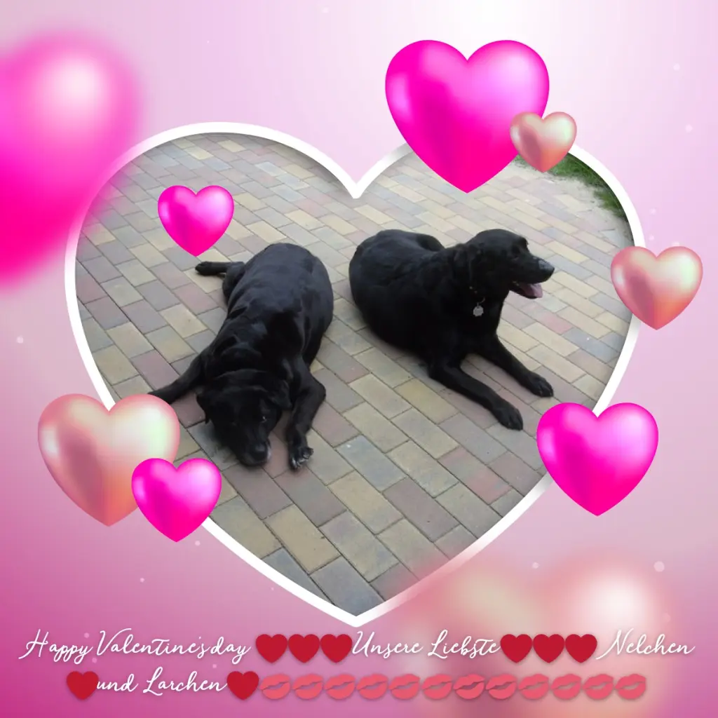 Condolence image of ❤️❤️❤️NELCHEN❤️UND LARCHEN❤️