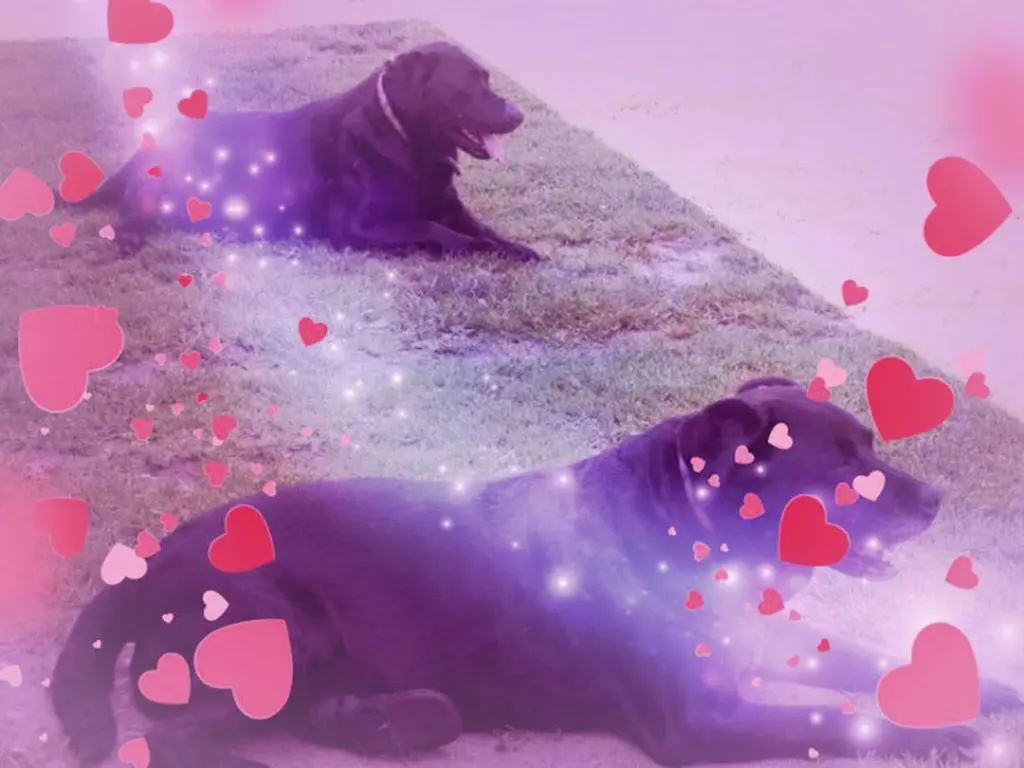 Condolence image of Ellen mit Lina ♥️