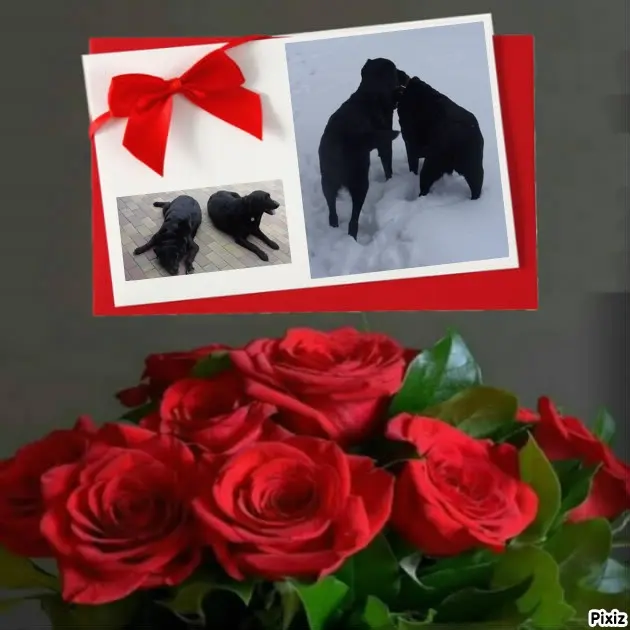 Condolence image of ❤️❤️❤️