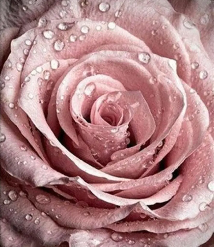 Condolence image of Mein herzliches Beileid