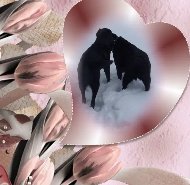 Condolence image of ❤️❤️❤️NELCHEN❤️LARCHEN❤️