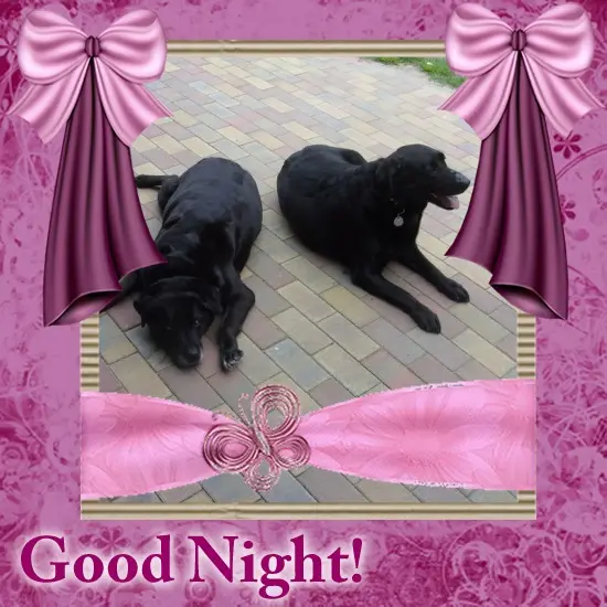 Condolence image of ❤️❤️❤️GUTE NACHT❤️❤️❤️