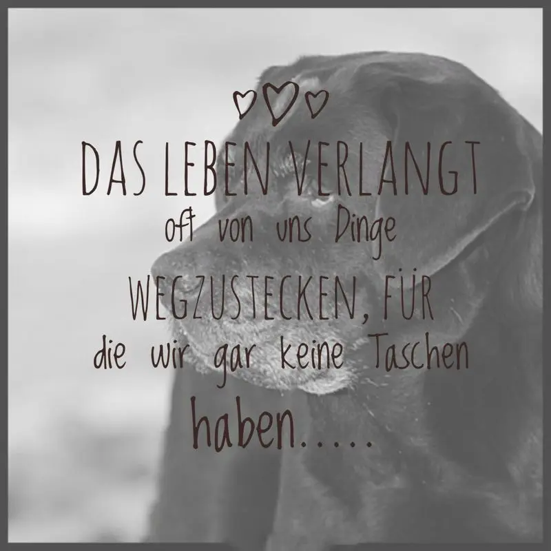 Condolence image of Unbekannt