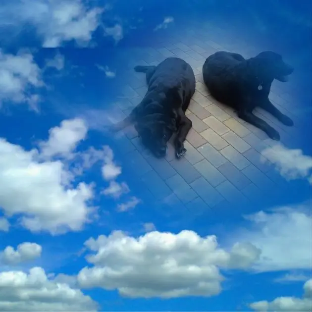 Condolence image of ❤️❤️❤️