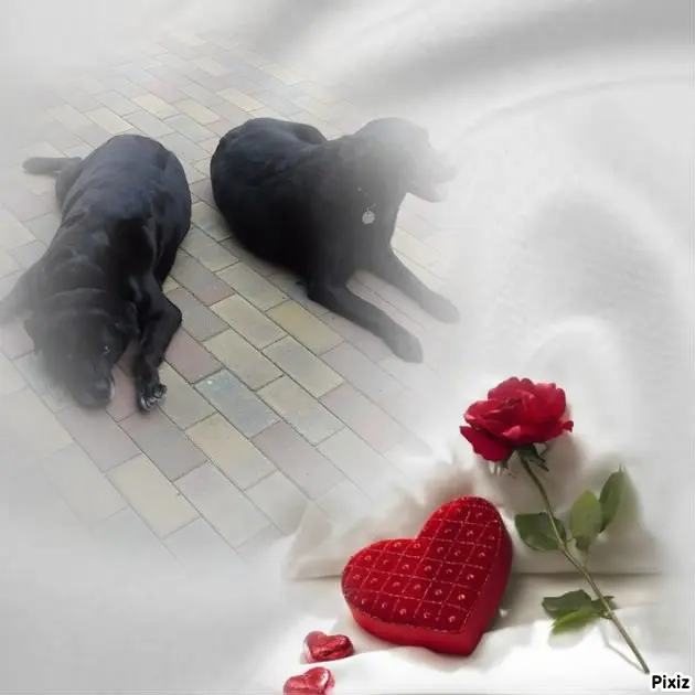 Condolence image of ❤️❤️❤️