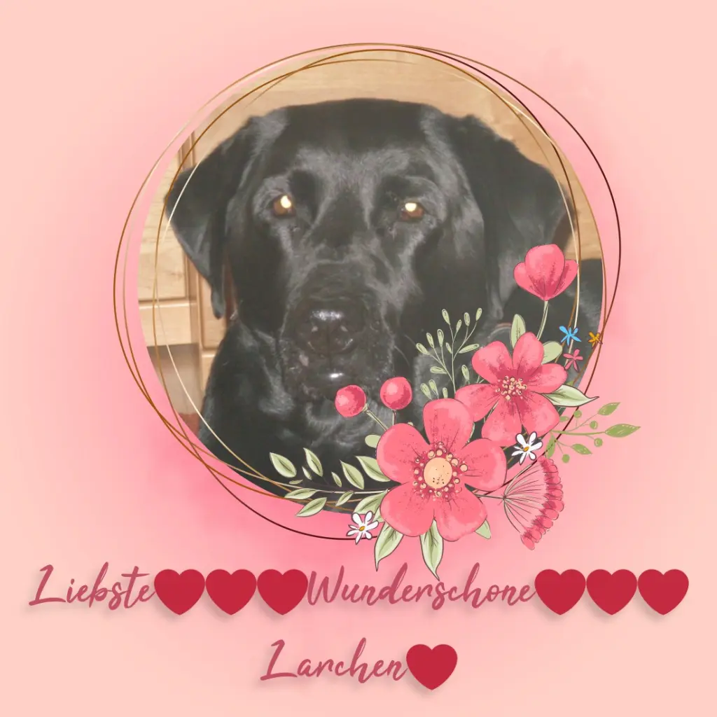 Condolence image of ❤️❤️❤️Lara❤️
