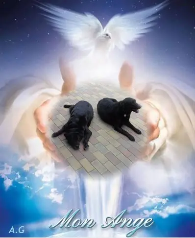 Condolence image of ❤️❤️❤️