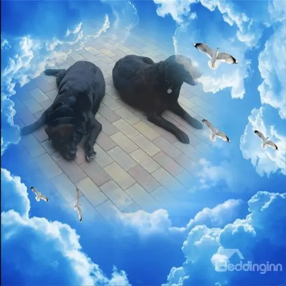 Condolence image of ❤️❤️❤️
