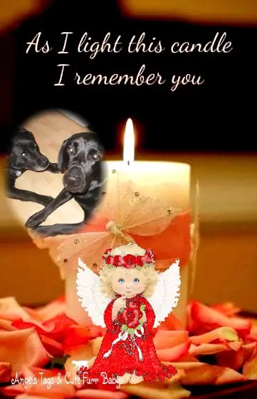 Condolence image of ❤️❤️❤️
