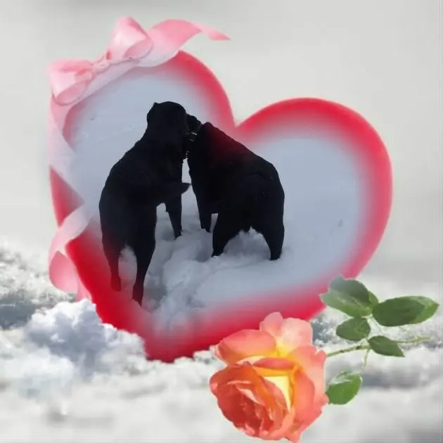 Condolence image of ❤️❤️❤️