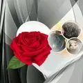 Condolence image of Unbekannt