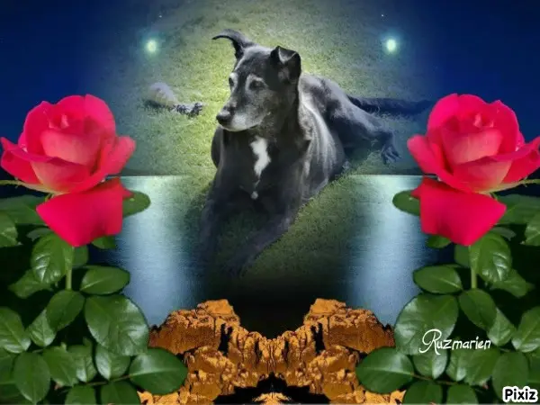 Condolence image of Unbekannt