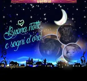 Condolence image of Gute Nacht❤️❤️❤️