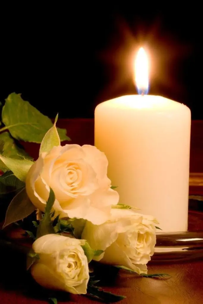 Condolence image of Tanja mit Timmy im Herzen