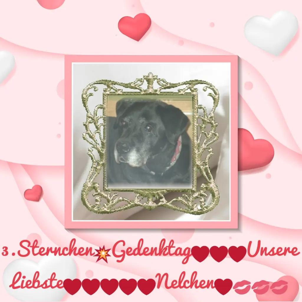 Condolence image of ❤️❤️❤️3.STERNCHEN❤️GEDENKTAG❤️