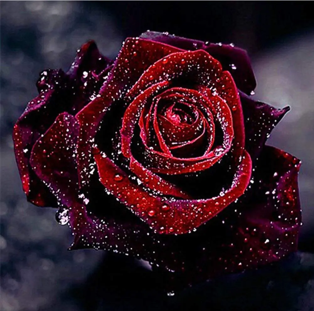 Condolence image of Zum Gedenken an♥Nele♥, Evys liebe Freundin