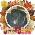 Condolence image of Unbekannt