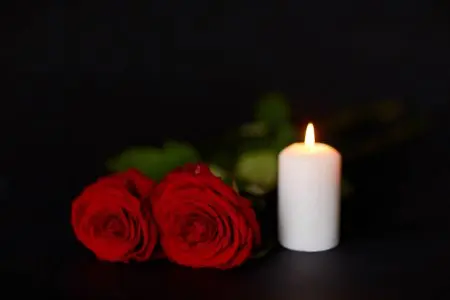 Condolence image of Zum Gedenken an Evys liebes♥Lärchen♥