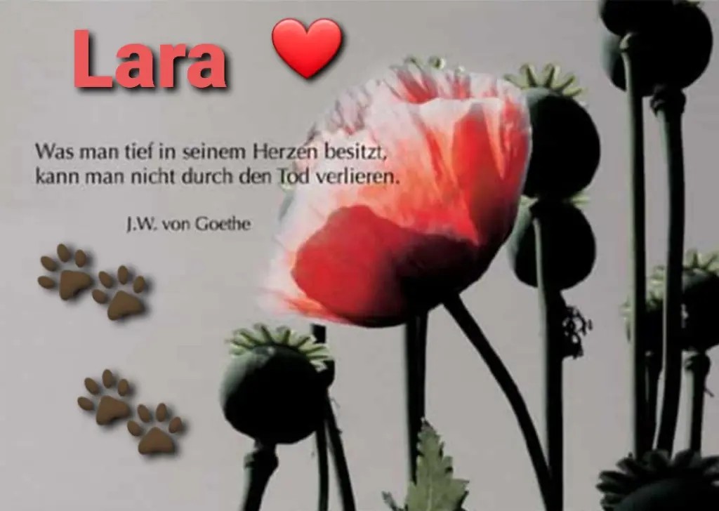 Condolence image of Unbekannt