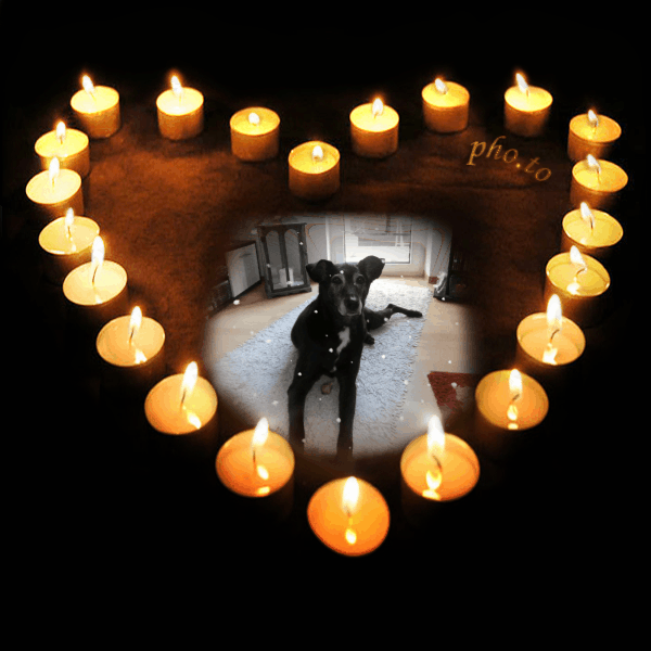 Condolence image of Unbekannt