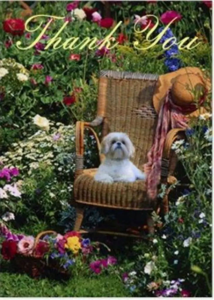 Condolence image of Vielen herzlichen Dank