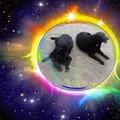 Condolence image of Unbekannt