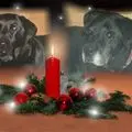 Condolence image of Unbekannt
