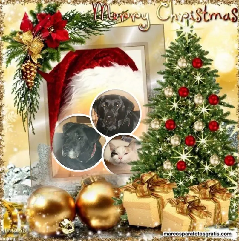 Condolence image of ❤️WEIHNACHTEN❤️❤️❤️