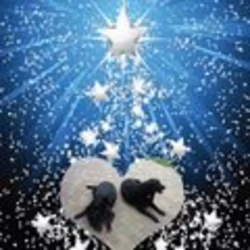 Condolence image of Unbekannt