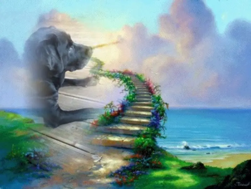 Condolence image of Fur Unsere Stellchen❤️