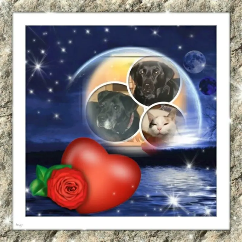Condolence image of Gute Nacht❤️❤️❤️