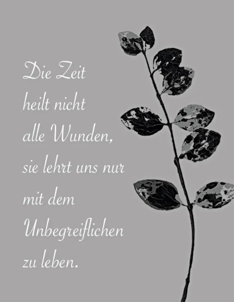 Condolence image of Ilse mit ihren geliebten Sternlein im Herzen