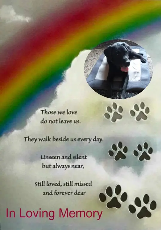 Condolence image of 1.Sternchen❤️ Gedenktag❤️