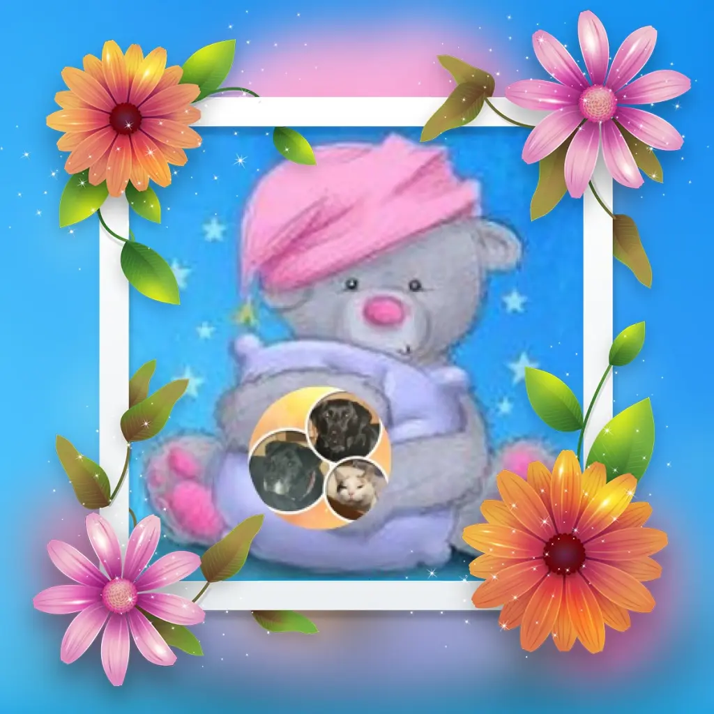 Condolence image of Gute Nacht❤️❤️❤️Mauschen❤️❤️❤️