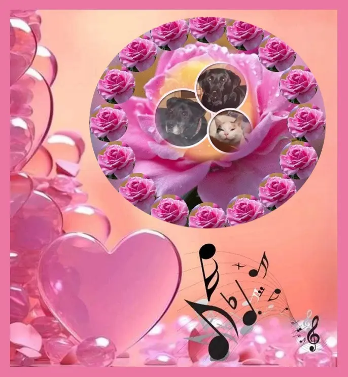 Condolence image of Gute Nacht❤️❤️❤️Mauschen❤️❤️❤️