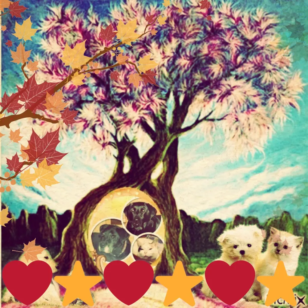 Condolence image of Gute Nacht❤️❤️❤️Mauschen❤️❤️❤️