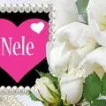 Condolence image of Unbekannt