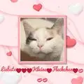 Condolence image of Evelyn