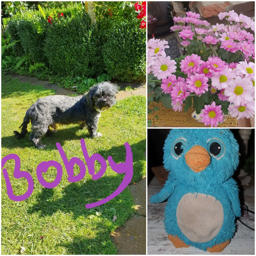 Image from Bobby