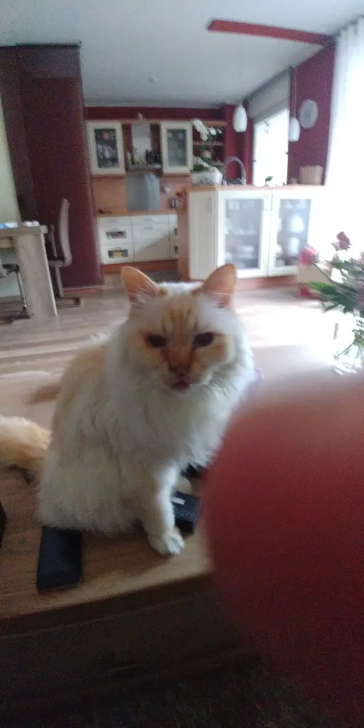 Condolence image of Anke
