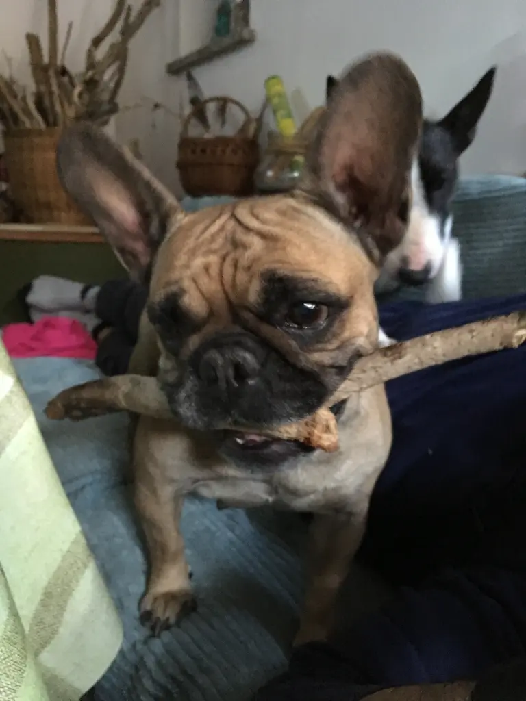 Image from Hilde